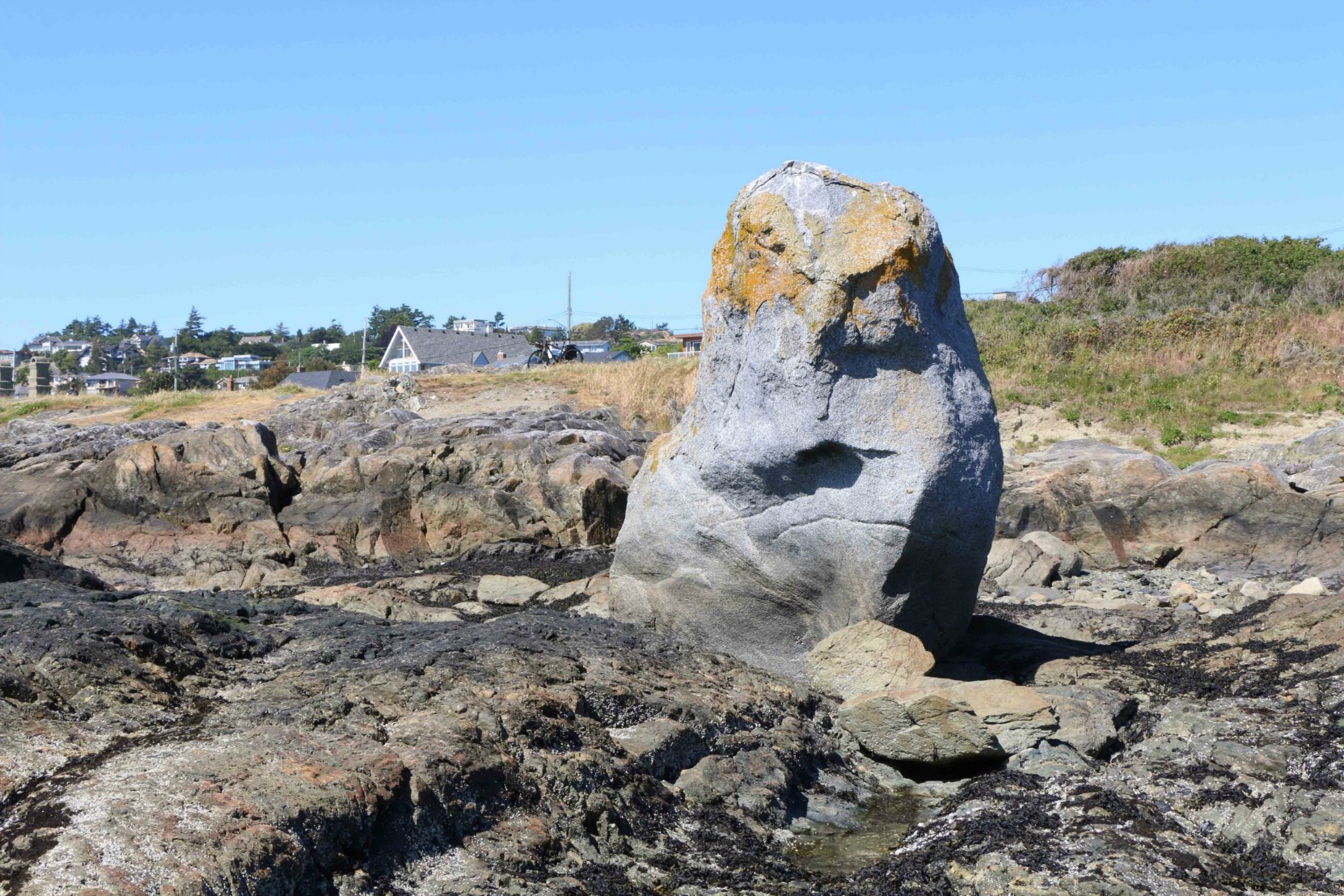 One of two large rocks which were deposited at Harling Point by glaciers as the ice receded at the end of the last Ice Age, 12,000 years ago. A Coast Salish legend says this rock was once a seal hunter who insulted the god Qals, who responded by turning the hunter to stone.