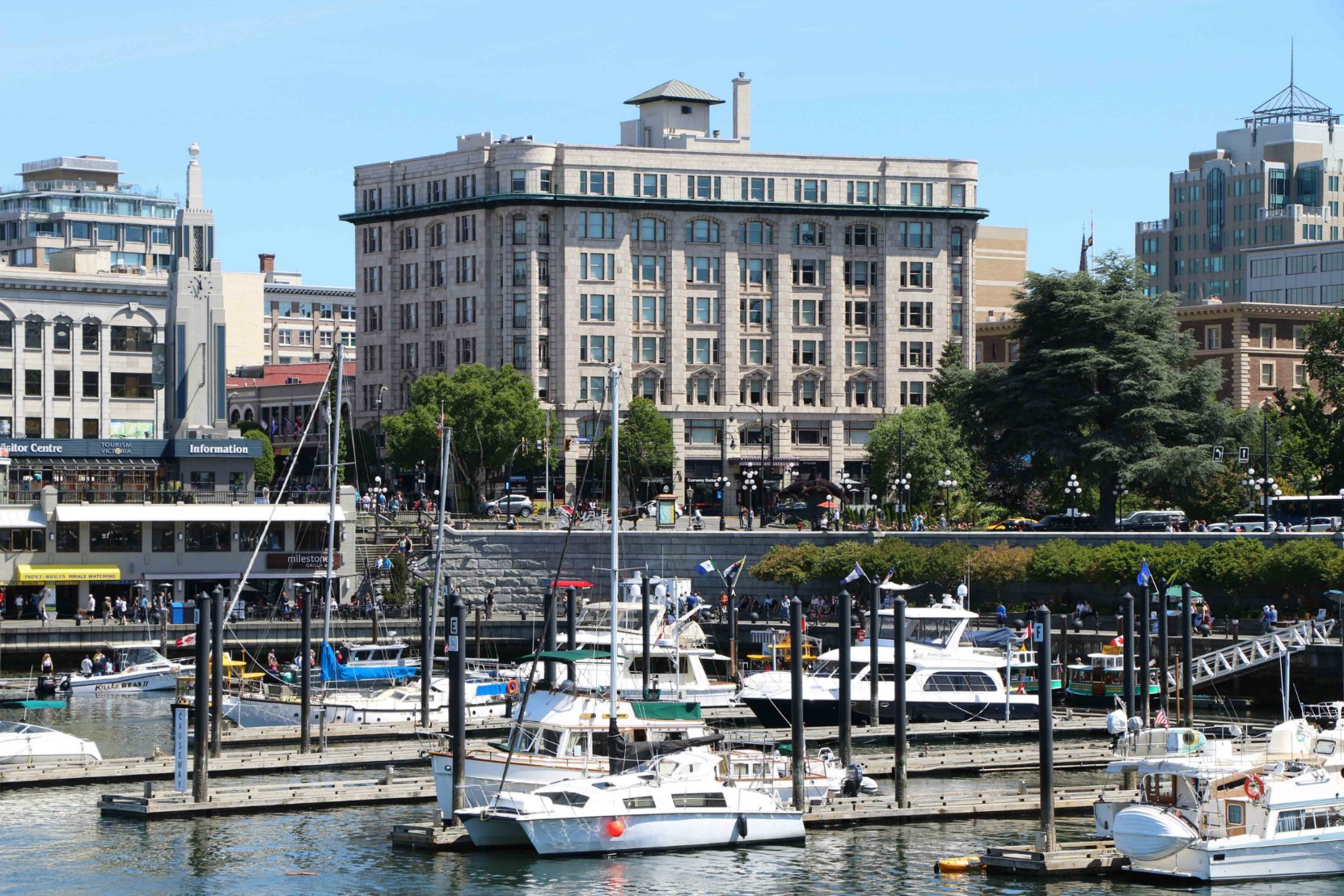 The Belmont Building and the Causeway, seen from the Steamship Terminal on Belleville Street
