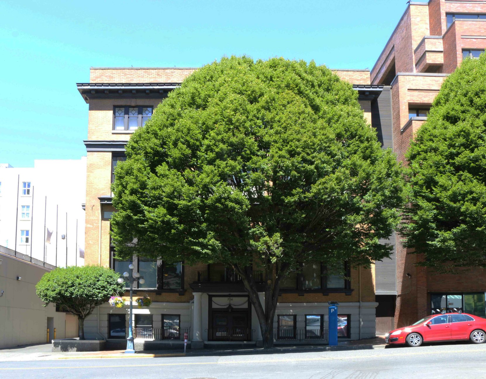 716 Courtney Street, built in 1911 as the Alexandra Ladies Club (photo by Victoria Online Sightseeing Tours)