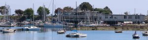 we header image showing Oak Bay Marina